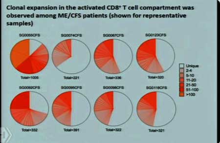 clonal expansion