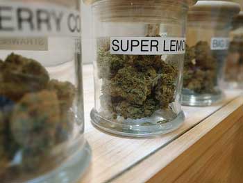 Cannabis dispensary
