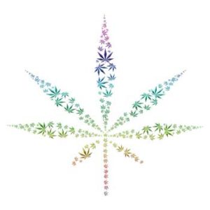 Cannabis - Johnnyet