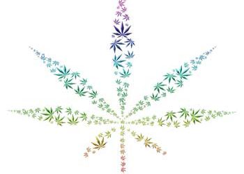 Cannabis - Johnnyet
