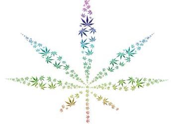 Cannabis - Johnnyet