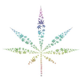 Cannabis - Johnnyet