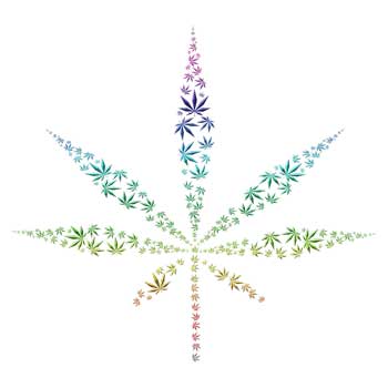 Marijuana as Medicine for ME/CFS and FM III: Cannabis – More Than Just THC and CBD