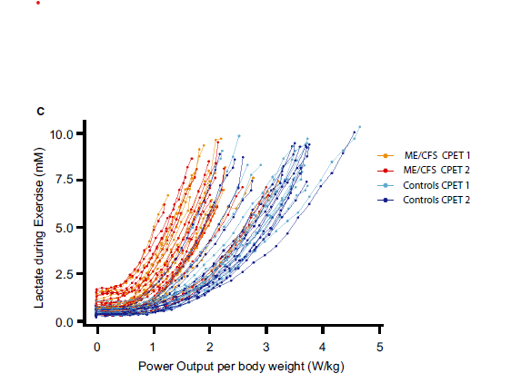 lactate vs power output