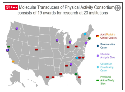 Total number of MoTrPac sites - 23