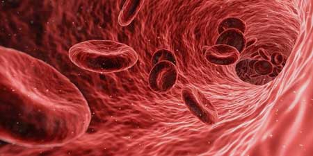 oxygen uptake muscle cells ME / CFS