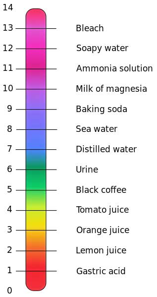 Ph scale