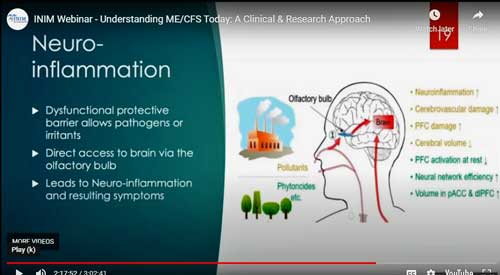 neuroinflammation