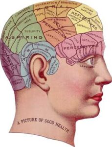 Vintage brain