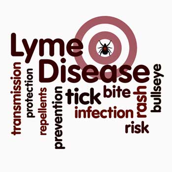 Lyme disease