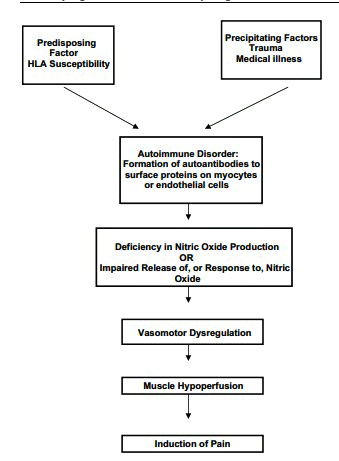 Causal pathway FM