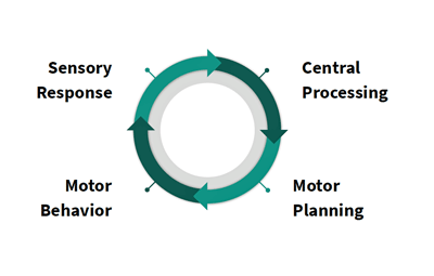 Vestibular Therapy, Cental Fatigue, Dysautonomia and ME/CFS: The Miranda Lecture