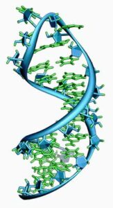 mRNA chrome ME/CFS