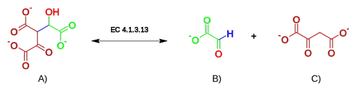 oxaloacetate