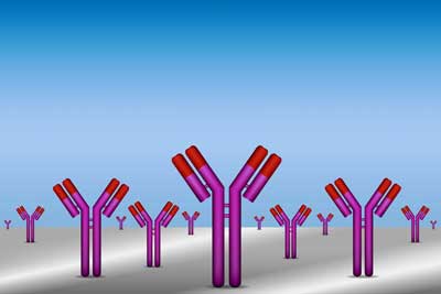 Study Suggests Something in the Blood is Causing Fibromyalgia