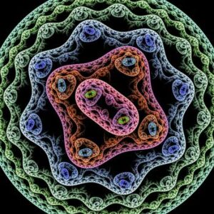 butyrate producing bacteria reduced in chronic fatigue syndrome