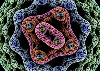 butyrate producing bacteria reduced in chronic fatigue syndrome