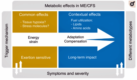 core metabolic problem in chronic fatigue syndrome