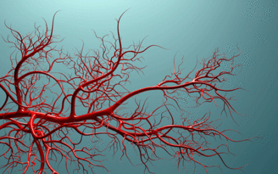blood vessels long COVID