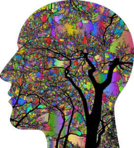 LSD-brain