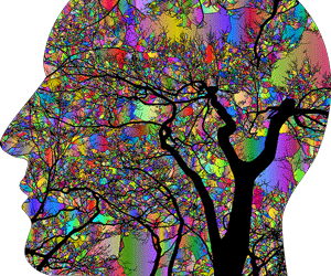 LSD-brain