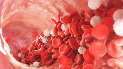 An X-Factor in the Blood May Be Impairing Blood Vessel Functioning in ME/CFS