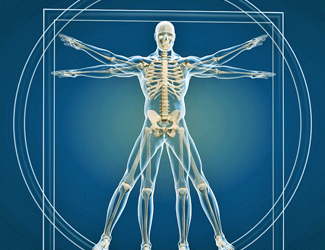 Chronic fatigue syndrome Long COVID exhaust the body