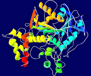 acetylcholinesterase
