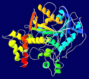 acetylcholinesterase