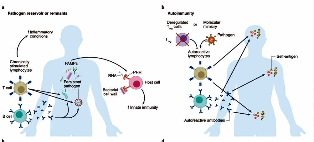 PASC hypotheses