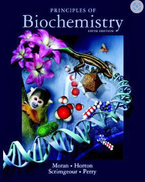 Biochemistry focus