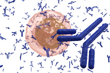 Serimmune’s Free ME/CFS Coronavirus and Tick Antibody Testing Study Is Open