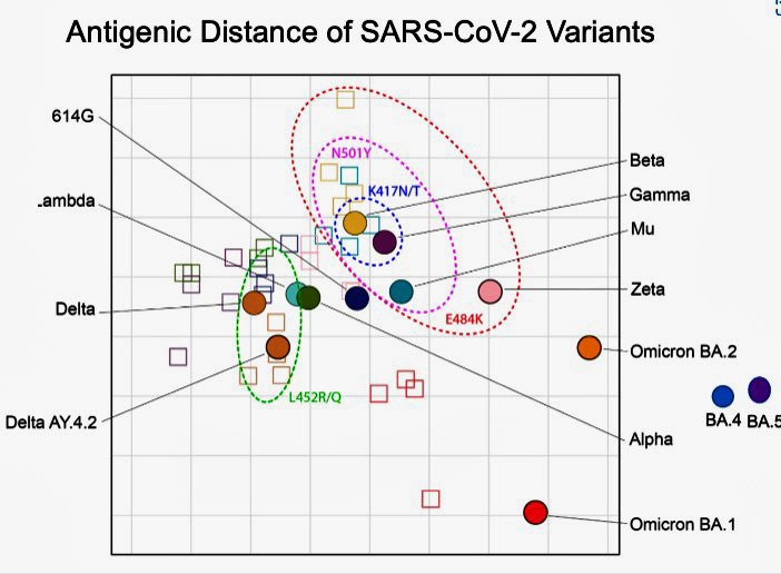 Antigenic distance