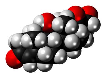 cortisol