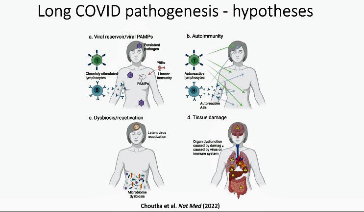 Four long COVID hypotheses