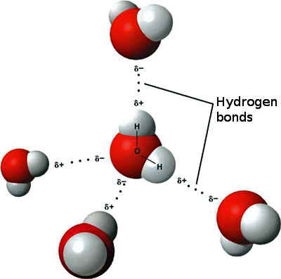 Hydrogen Rich Water II: New ME/CFS Study – New ME/CFS Hypothesis
