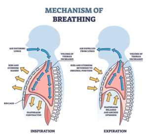 breathing