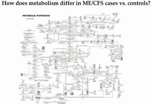 metabolic pathways