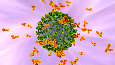 Coronavirus