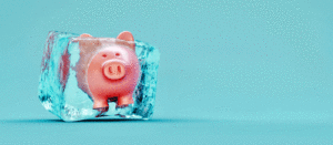 Frozen piggy