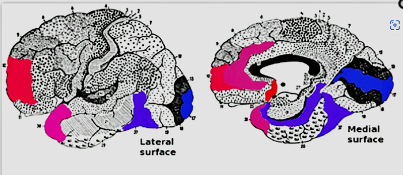 Activity increases and reductions after HBOT in fibromyalgia