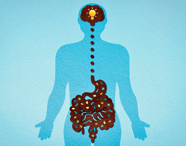 The Gut-Brain Axis and the Vagus Nerve in Multiple Sclerosis and ME/CFS