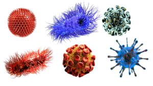 Viruses and bacteria