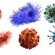 Can the Japanese Encephalitis Vaccine Reduce Symptoms of Long COVID?