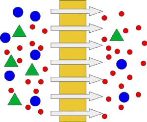 The authors report filtering out unwanted elements in the blood can help.