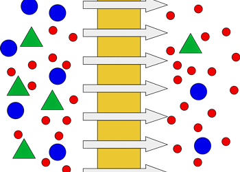 The authors report filtering out unwanted elements in the blood can help.