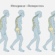 Osteoporosis: The Fibromyalgia (and ME/CFS and Long COVID?) Connection