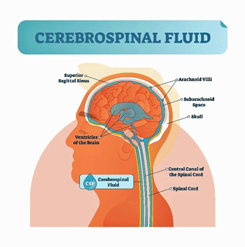 cerebrospinal fluid pressure