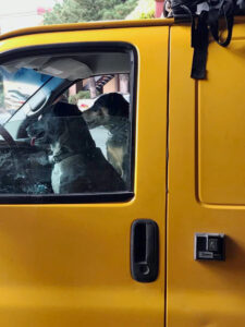 Big yellow van with River and Skye