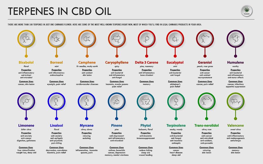 The terpenes found in CBD oil